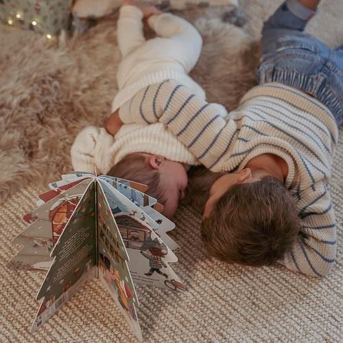 Christmas Book: Almost Christmas! - NL